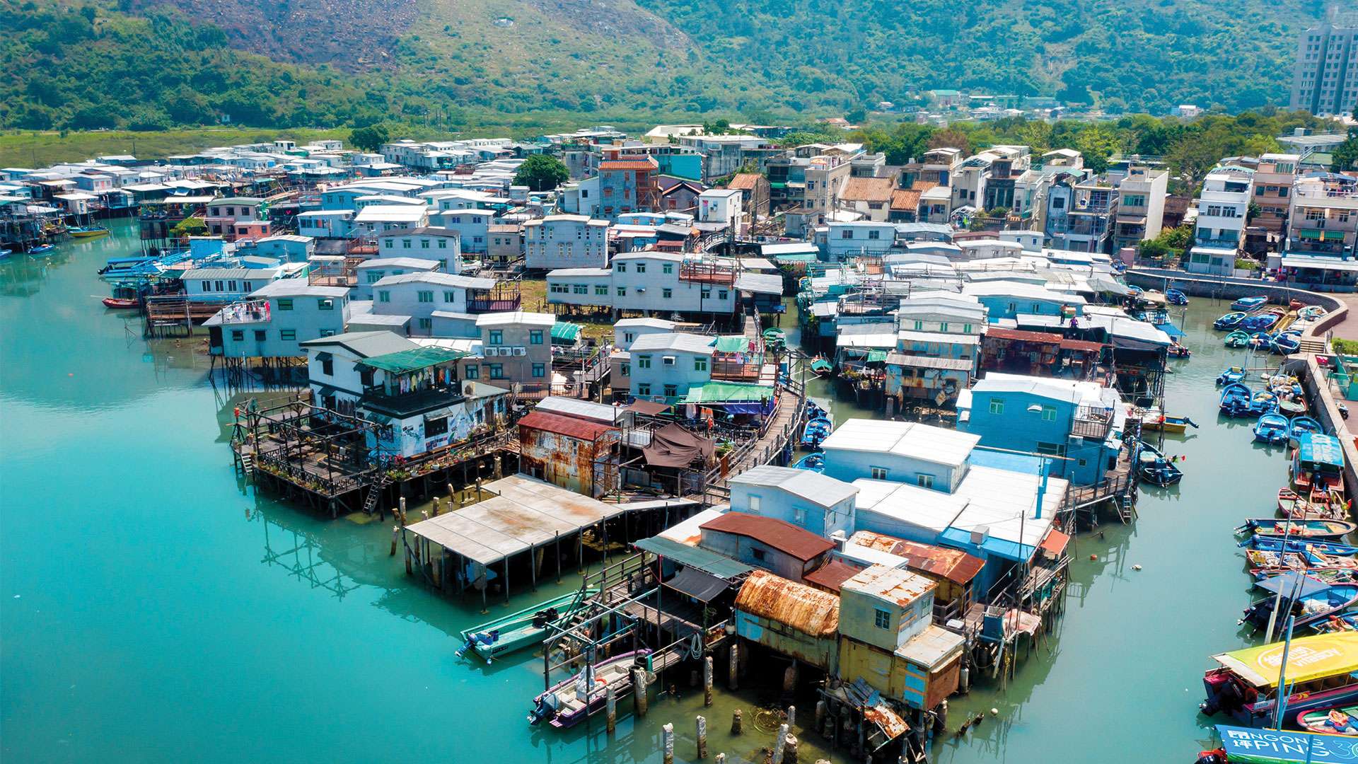 Discover Hong Kong: Hành trình từ làng chài cổ kính đến đỉnh núi kỳ vĩ