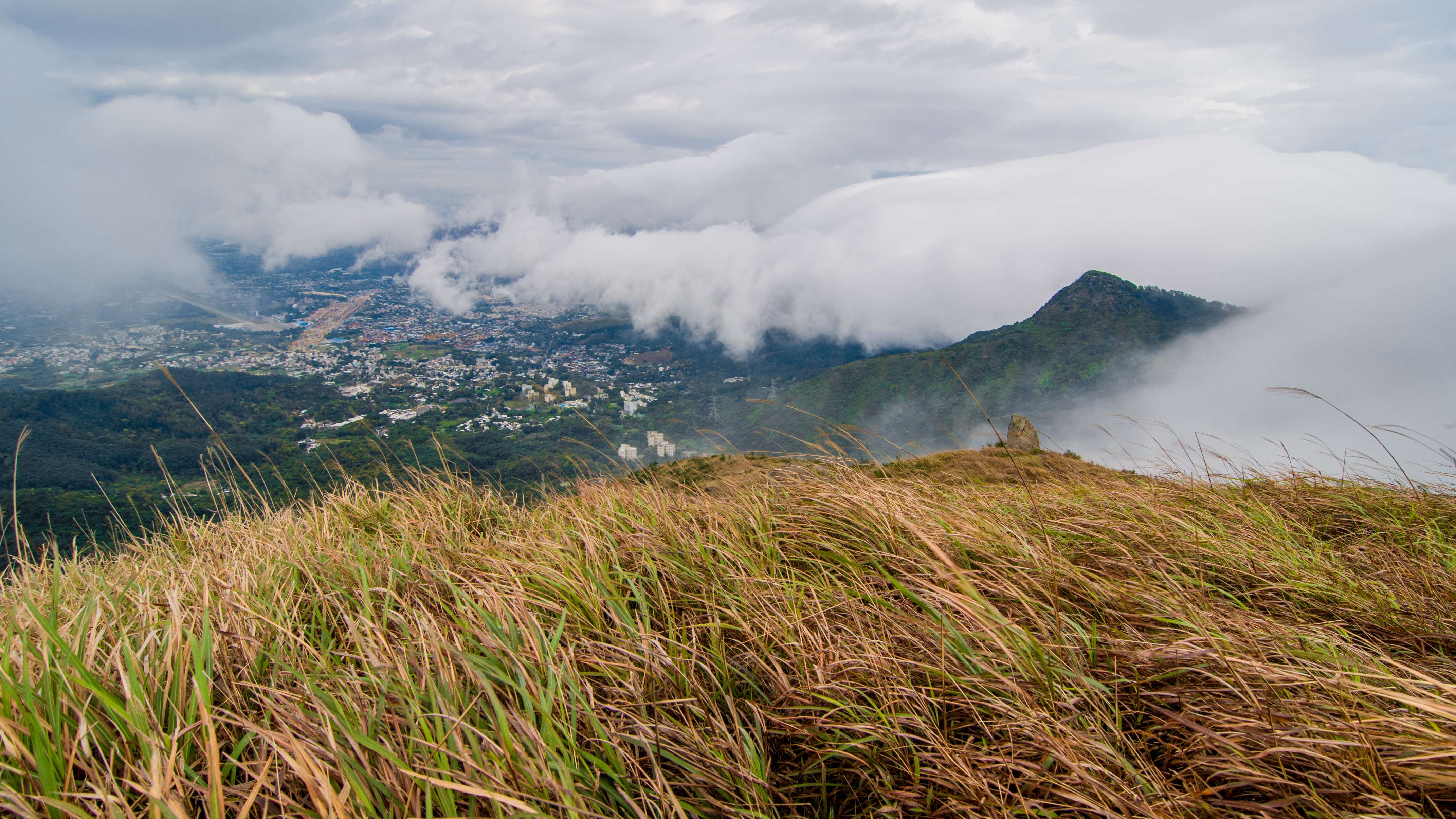 Discover Hong Kong: Hành trình từ làng chài cổ kính đến đỉnh núi kỳ vĩ