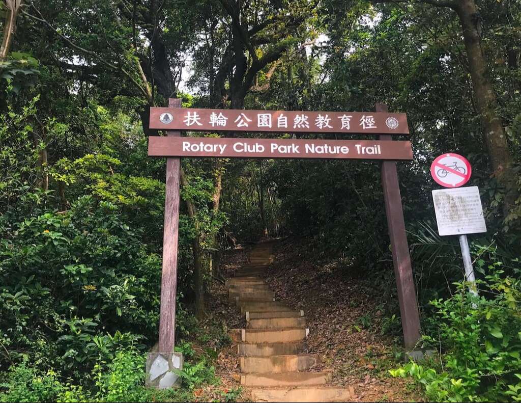 Discover Hong Kong: Hành trình từ làng chài cổ kính đến đỉnh núi kỳ vĩ