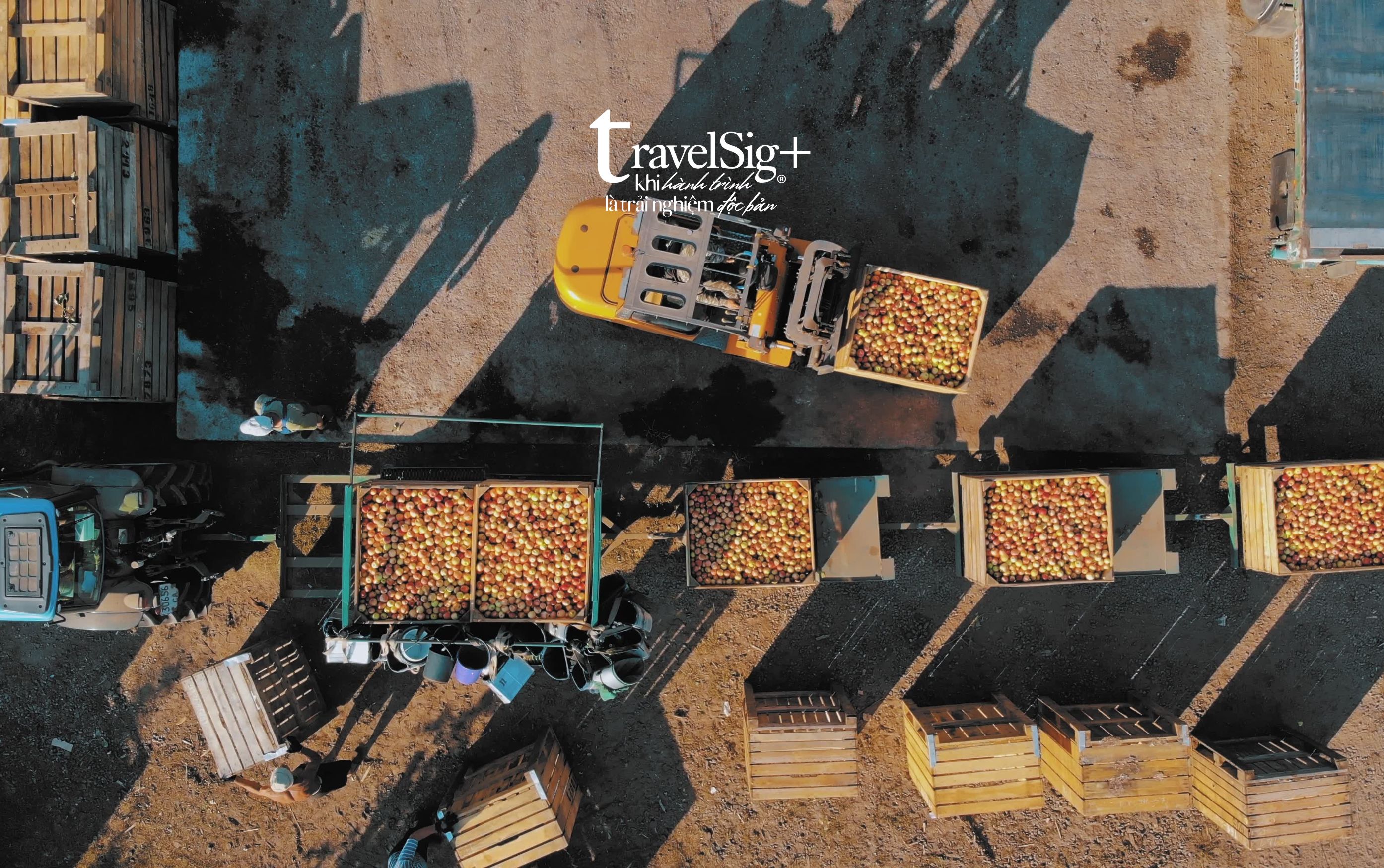 Dr. Davies Farm Stand - Trải nghiệm hái táo giữa thiên nhiên rực rỡ của New York