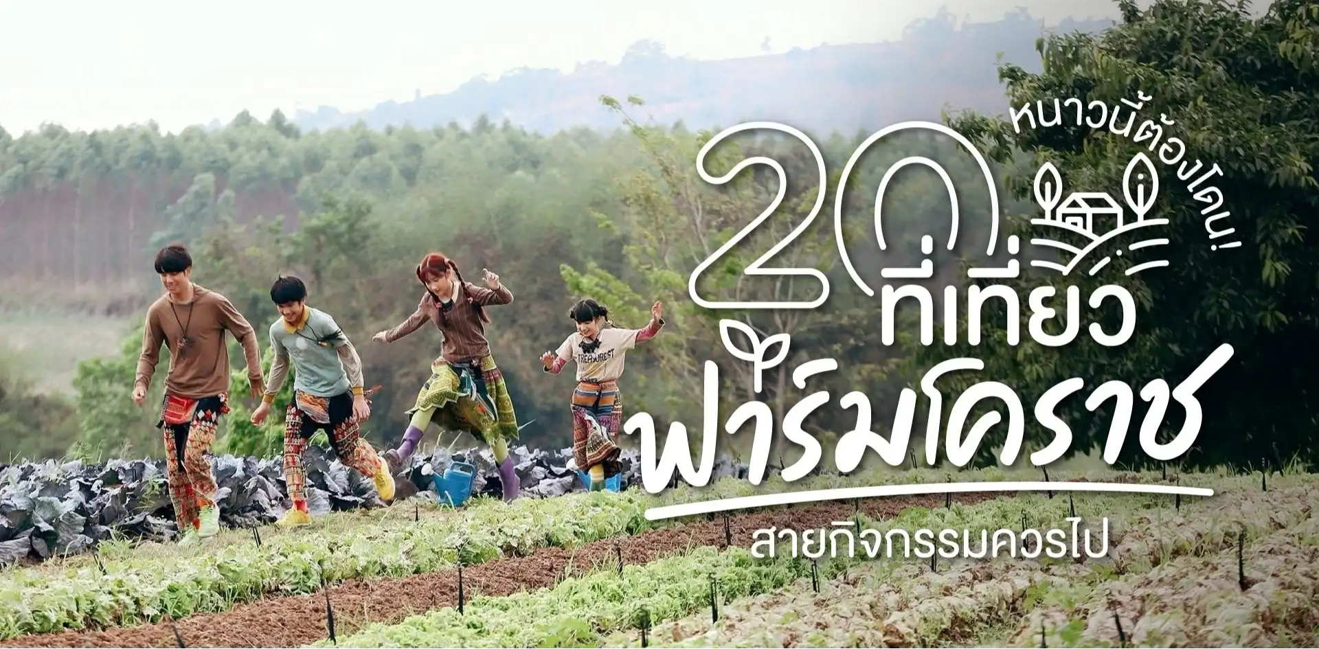 Du lịch nông nghiệp Thái Lan: Từ cà phê Chiang Rai đến vườn cà phê hữu cơ Nakhon Pathom