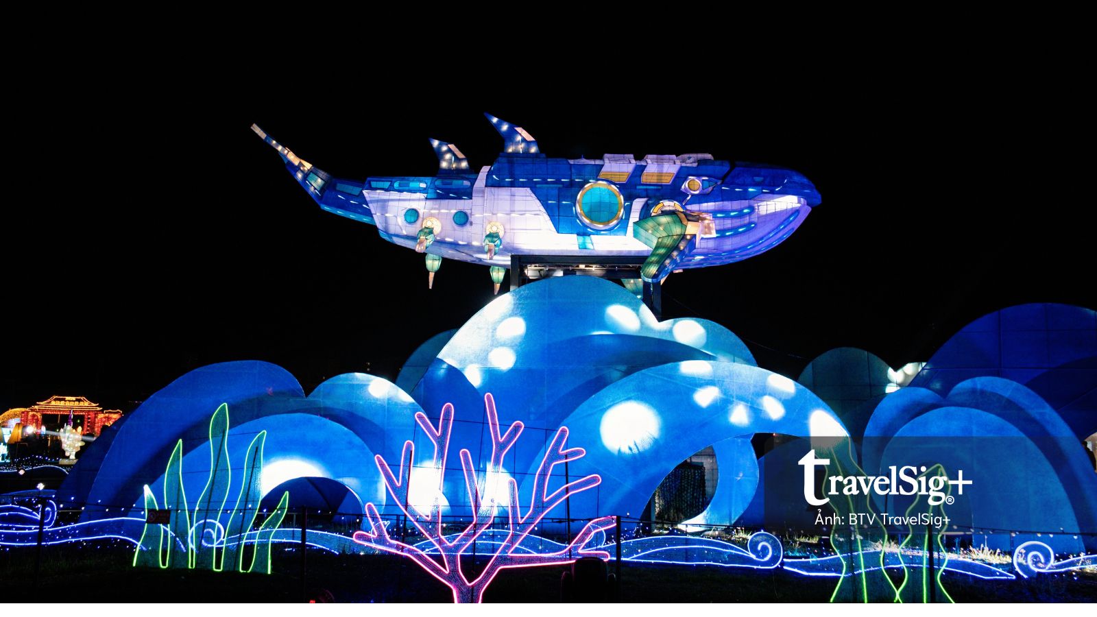 Du ngoạn Gia Nghĩa mùa xuân 2026 – Khi ánh sáng trở thành ngôn ngữ của trải nghiệm