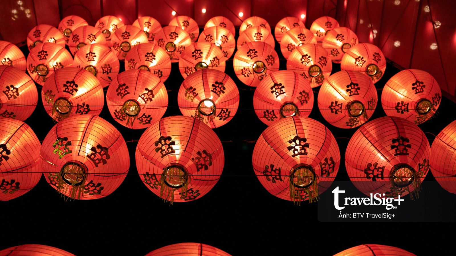 Du ngoạn Gia Nghĩa mùa xuân 2026 – Khi ánh sáng trở thành ngôn ngữ của trải nghiệm