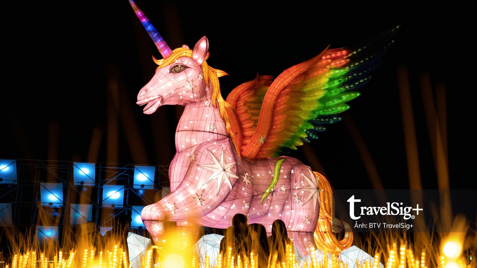 Du ngoạn Gia Nghĩa mùa xuân 2026 – Khi ánh sáng trở thành ngôn ngữ của trải nghiệm