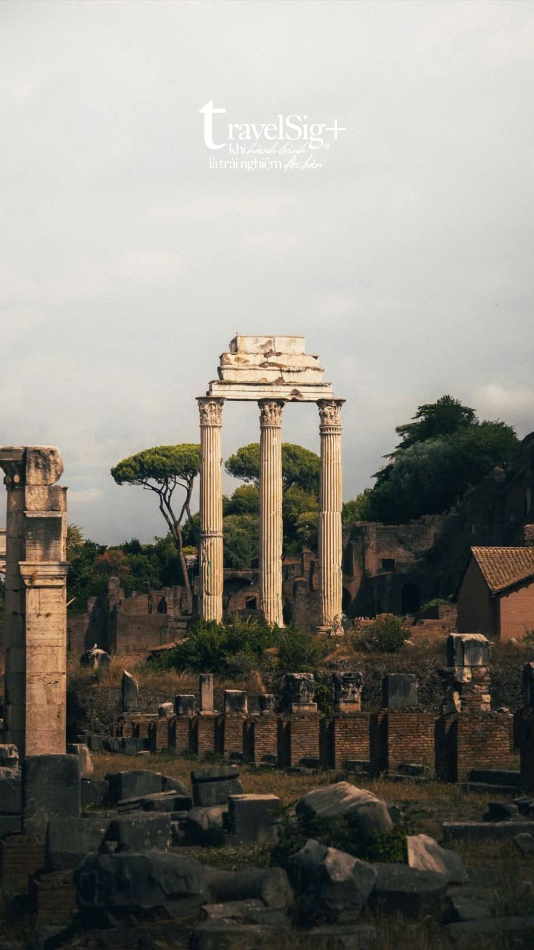 Đường về Rome - Hành trình của những giấc mơ cổ điển