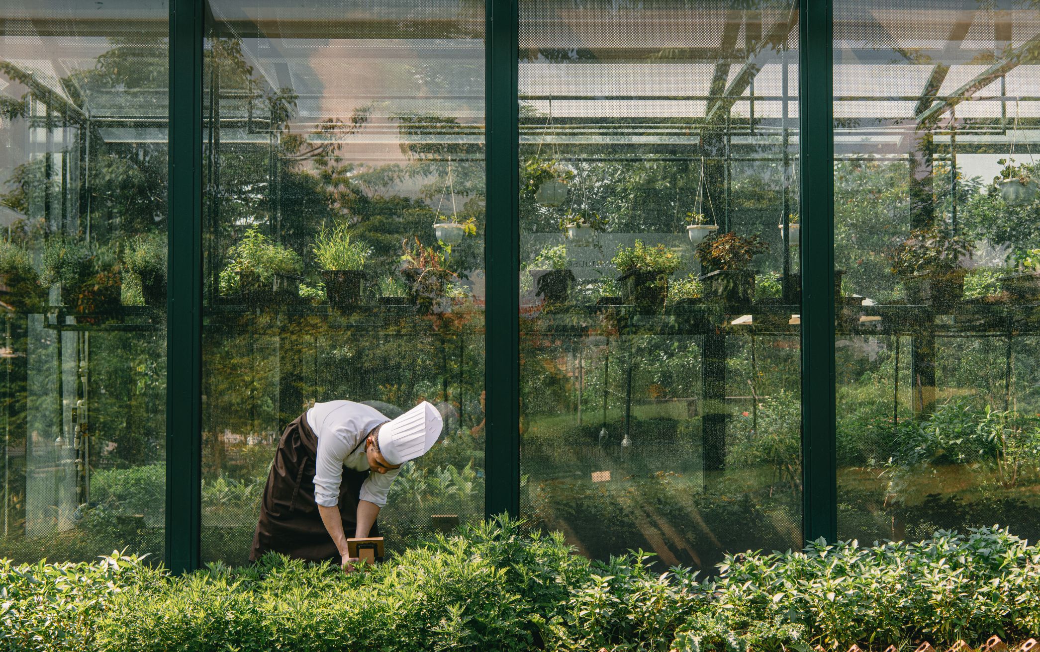 Easy Escape - JW Marriott Hà Nội