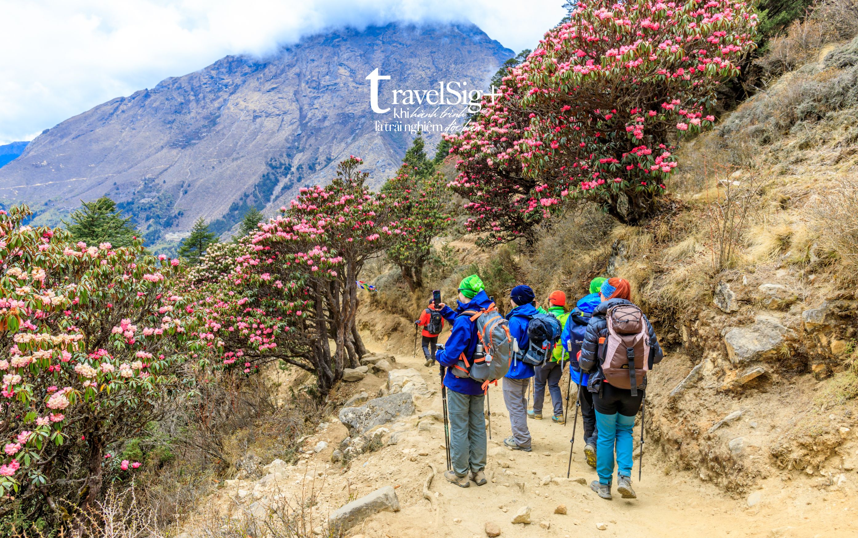 Everest Base Camp - Hành trình về phía chân trời vĩnh cửu