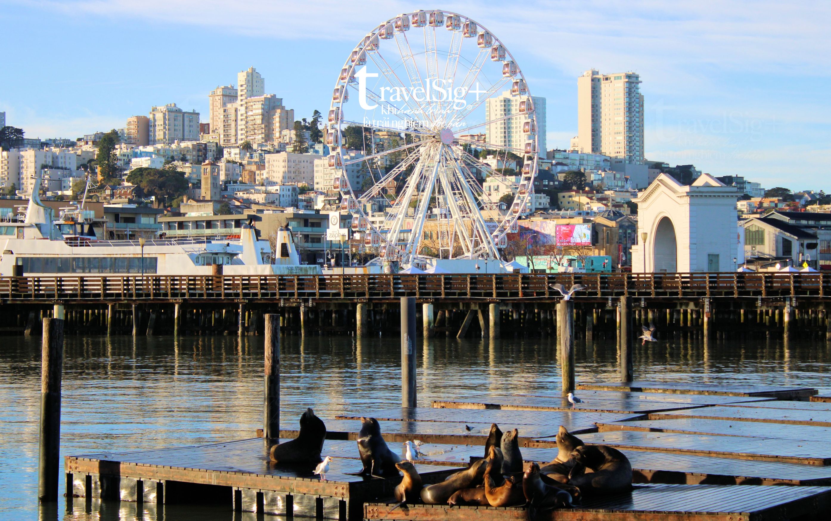 Fisherman’s Wharf - Trái tim sôi động bên vịnh San Francisco