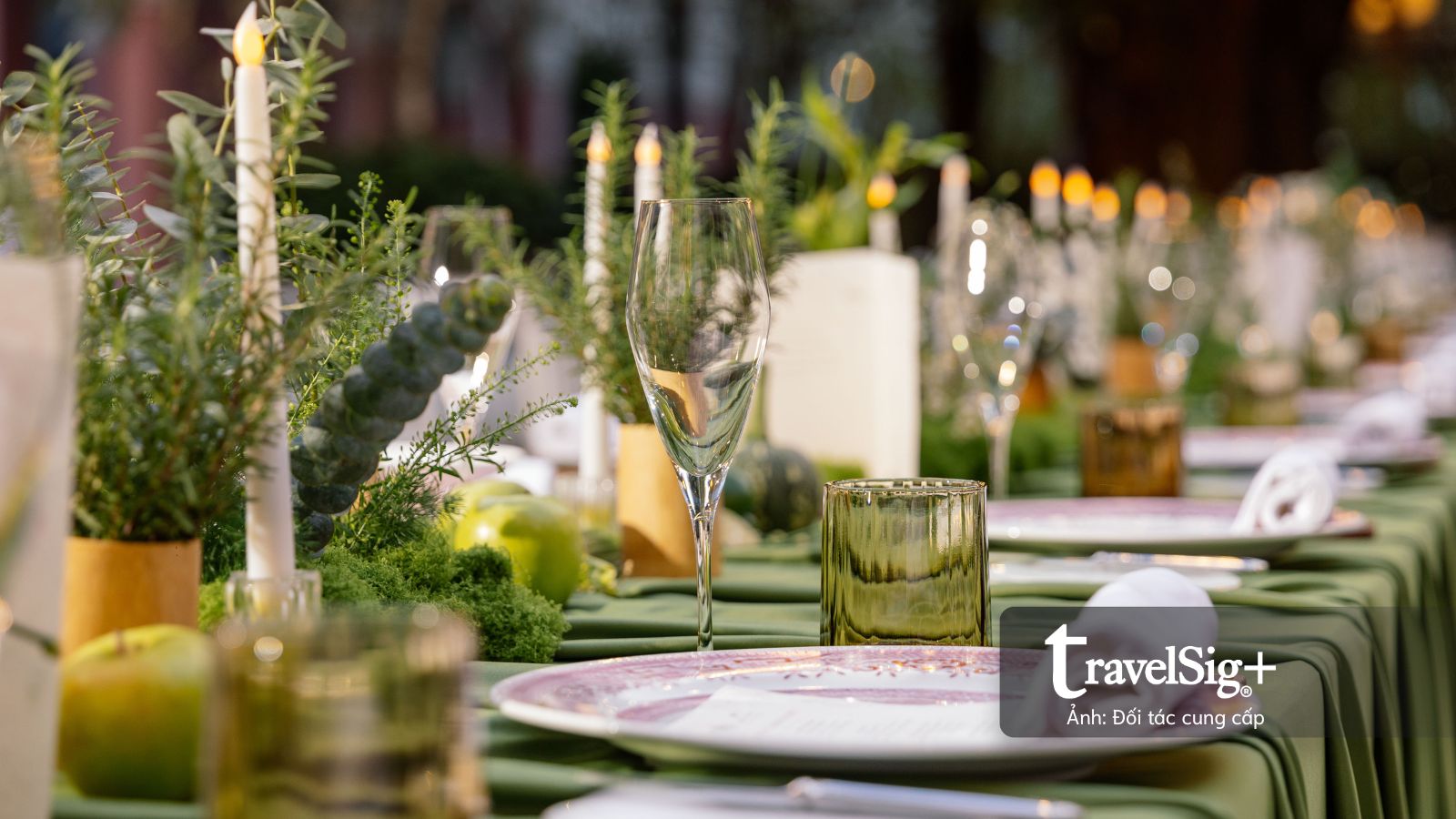 Garden Party: Xu hướng tiệc vườn mới từ JW Marriott khơi mở những cuộc hội ngộ ý nghĩa