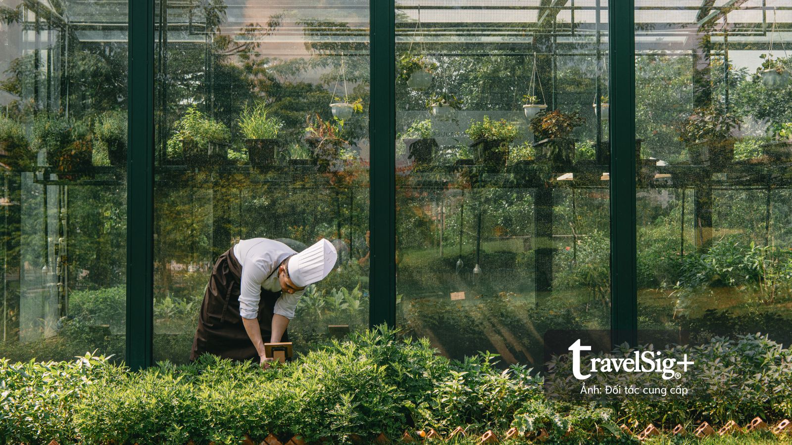 Garden Party: Xu hướng tiệc vườn mới từ JW Marriott khơi mở những cuộc hội ngộ ý nghĩa