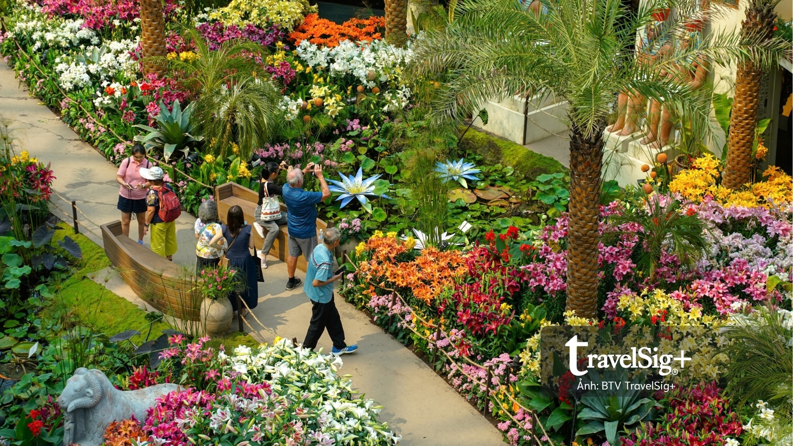 Gardens by the Bay: Khi Singapore cất giấu cả một khu rừng giữa lòng đô thị