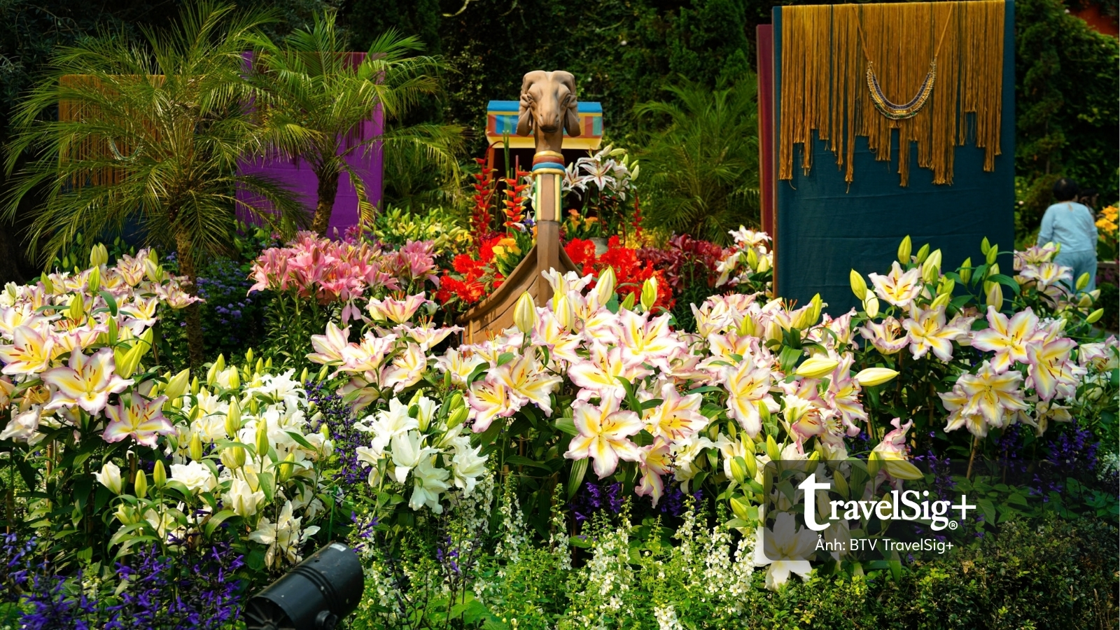 Gardens by the Bay: Khi Singapore cất giấu cả một khu rừng giữa lòng đô thị