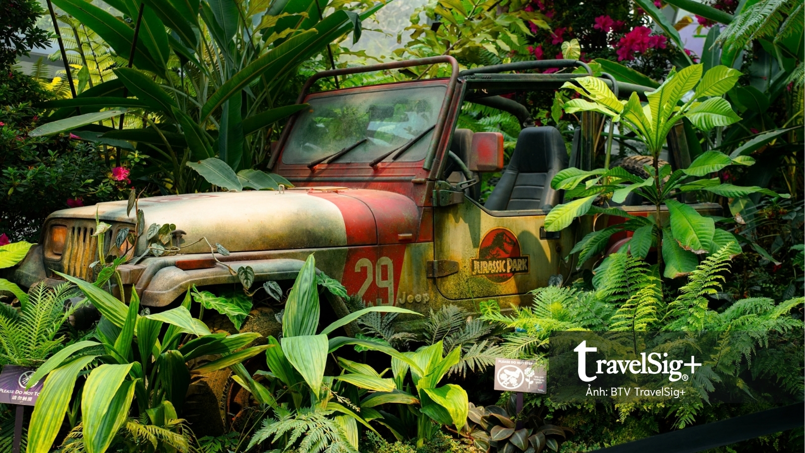 Gardens by the Bay: Khi Singapore cất giấu cả một khu rừng giữa lòng đô thị