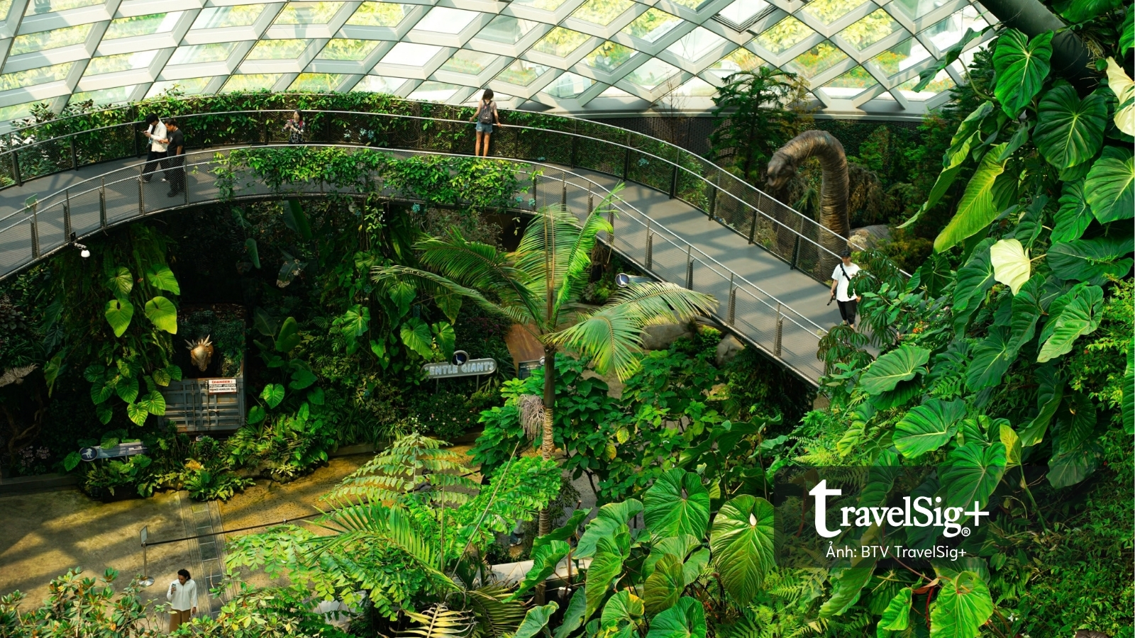 Gardens by the Bay: Khi Singapore cất giấu cả một khu rừng giữa lòng đô thị