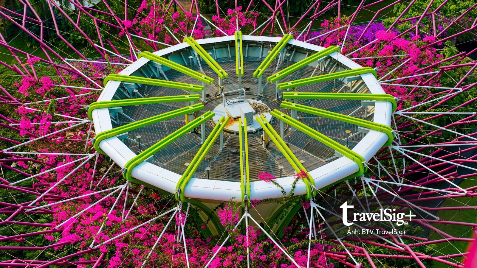 Gardens by the Bay: Khi Singapore cất giấu cả một khu rừng giữa lòng đô thị