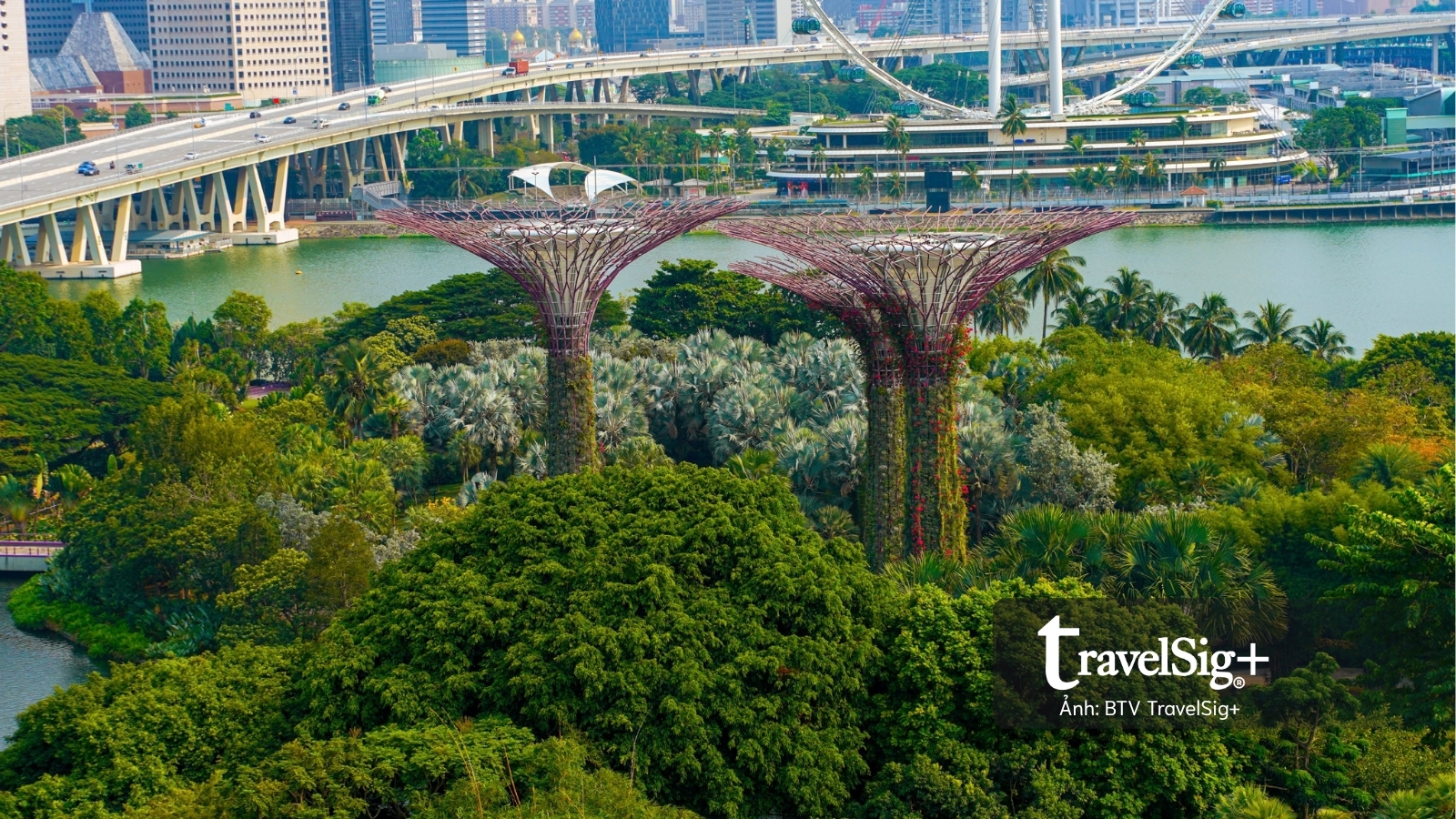 Gardens by the Bay: Khi Singapore cất giấu cả một khu rừng giữa lòng đô thị