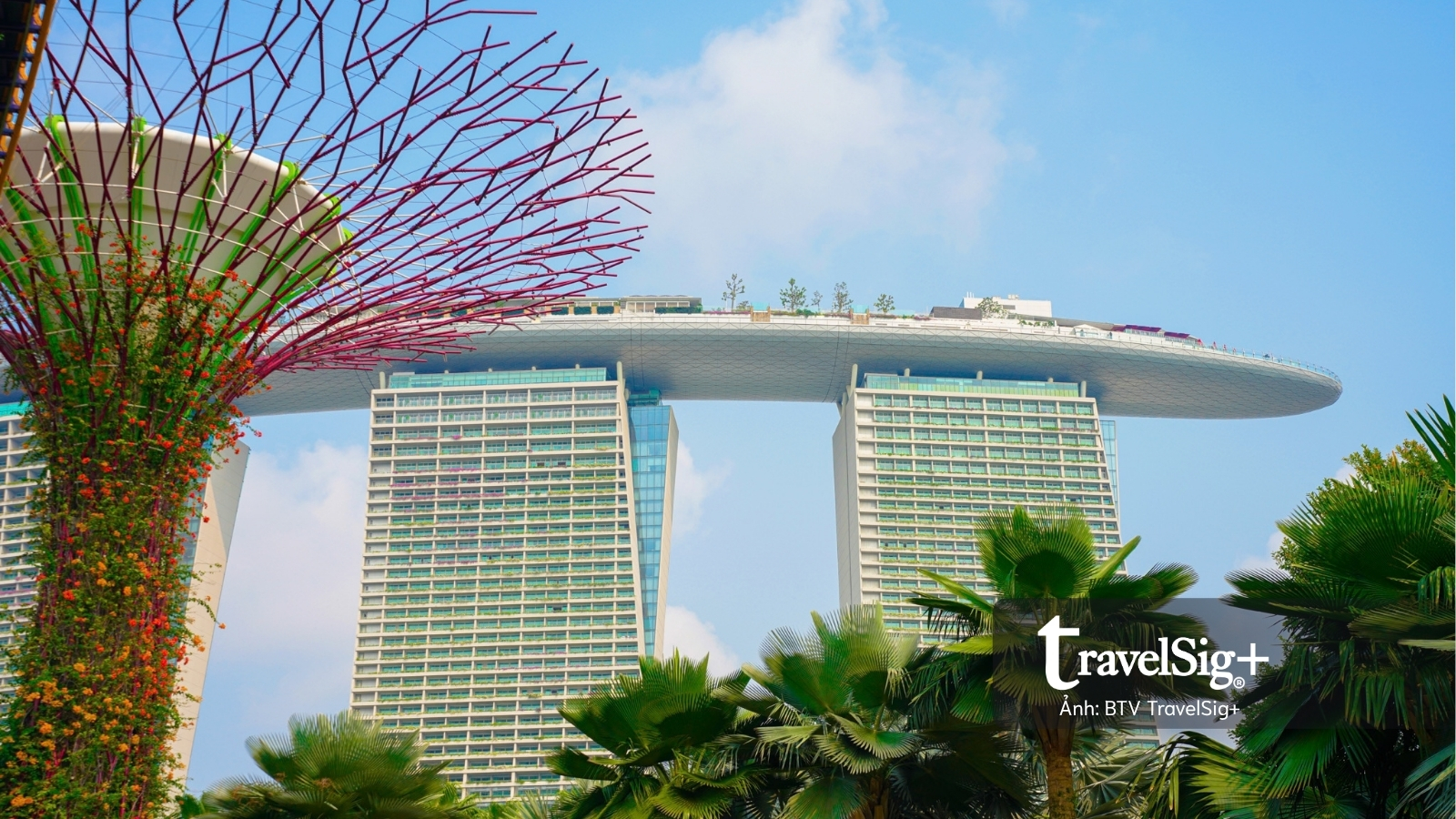 Gardens by the Bay: Khi Singapore cất giấu cả một khu rừng giữa lòng đô thị