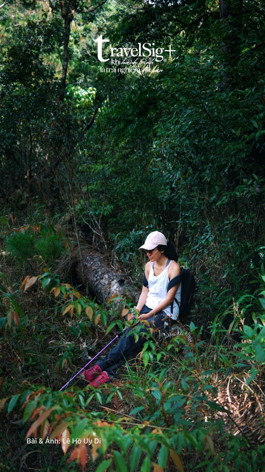 Giấc mơ Lomburr - Giữa rừng sâu, dưới trời cao