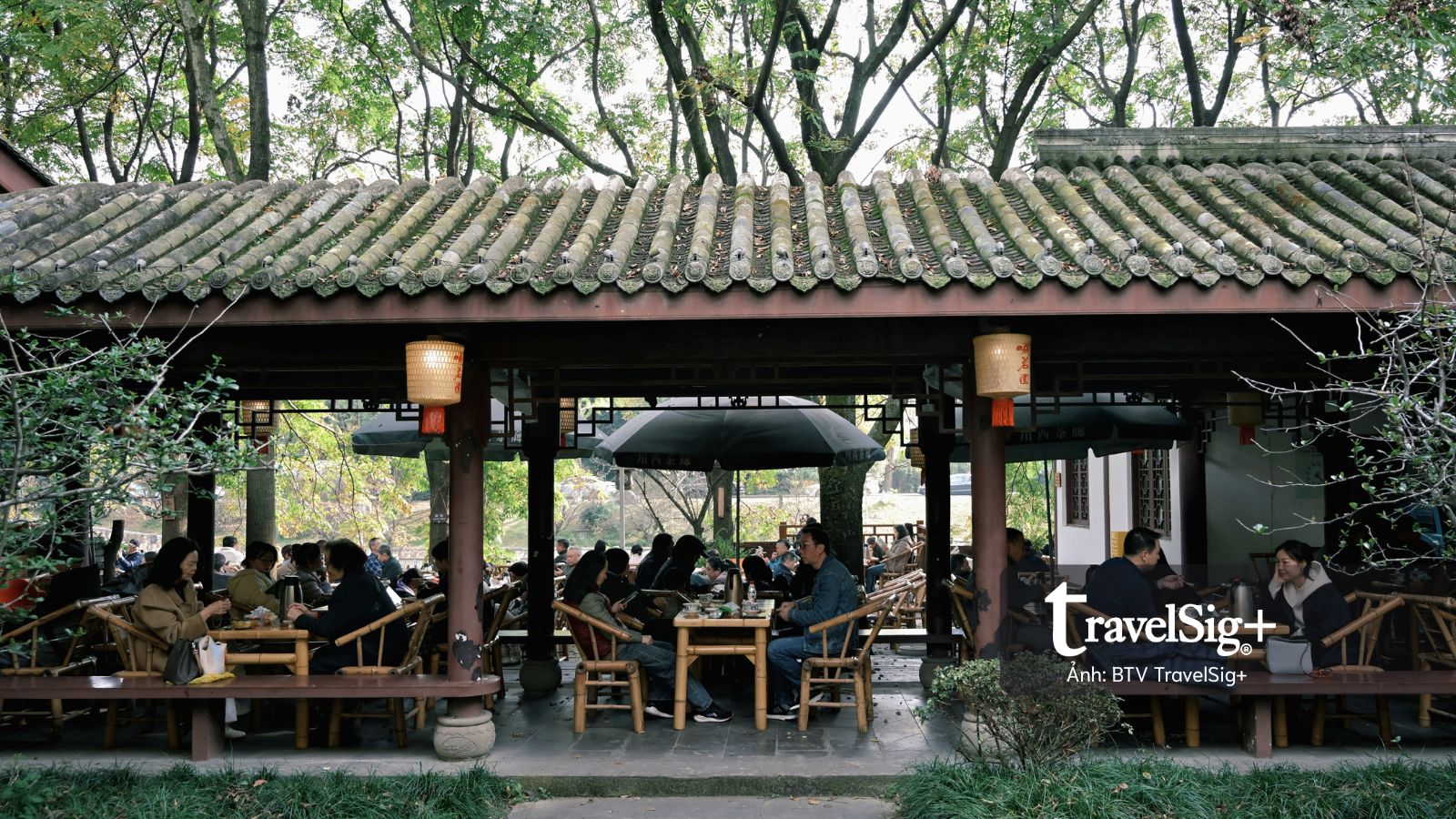 Giải mã Thành Đô qua hình ảnh gấu trúc và văn hoá trà nghìn năm