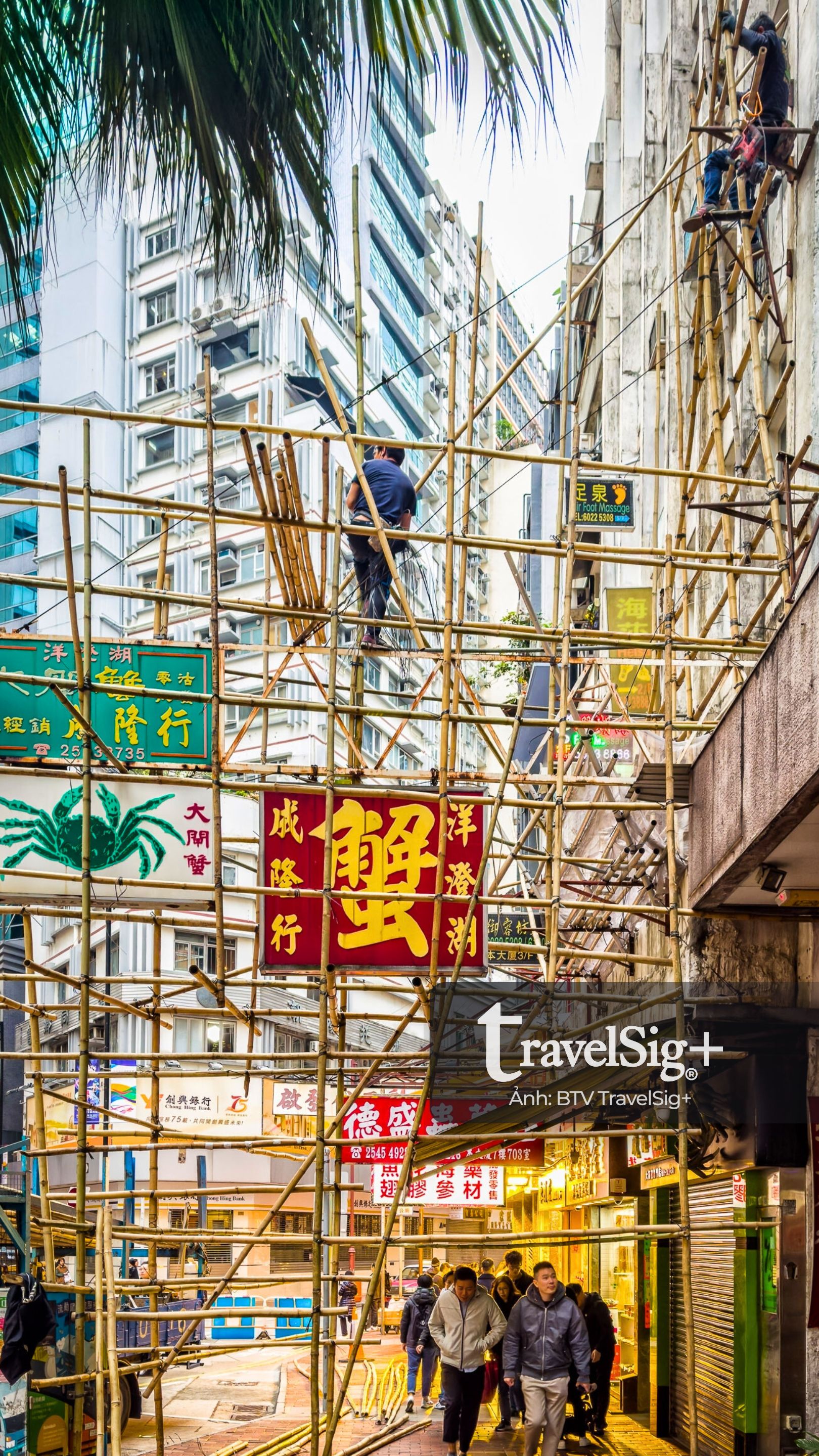 Giàn giáo tre Hong Kong - sức sống truyền thống giữa rừng thép