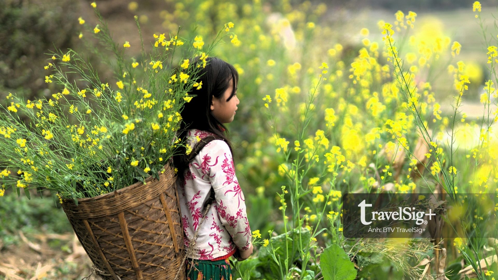 Hà Giang - Bản hòa ca sắc màu trên cao nguyên đá