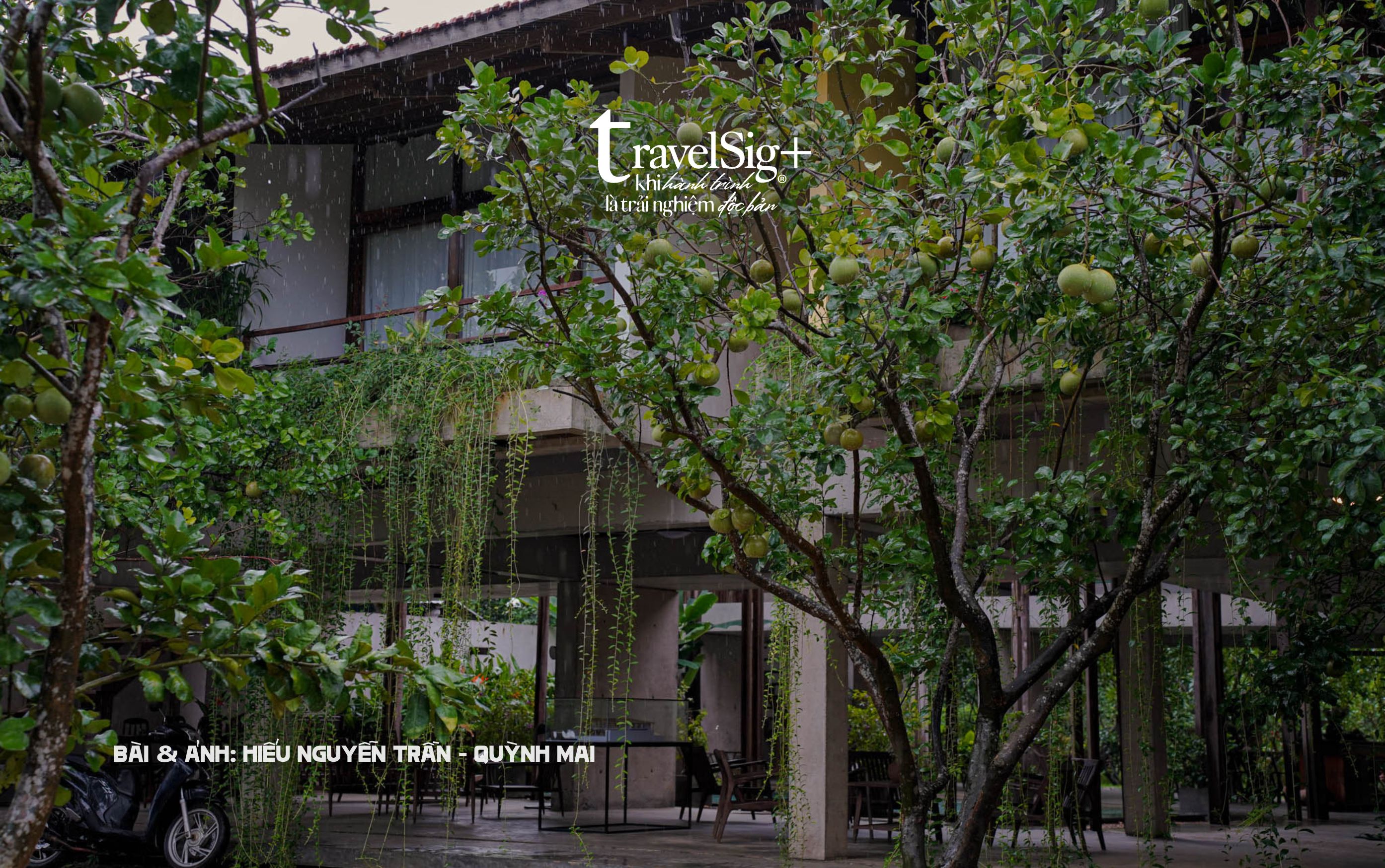 Hachi Homestay - Nơi Huế xưa thì thầm trong từng hương bưởi