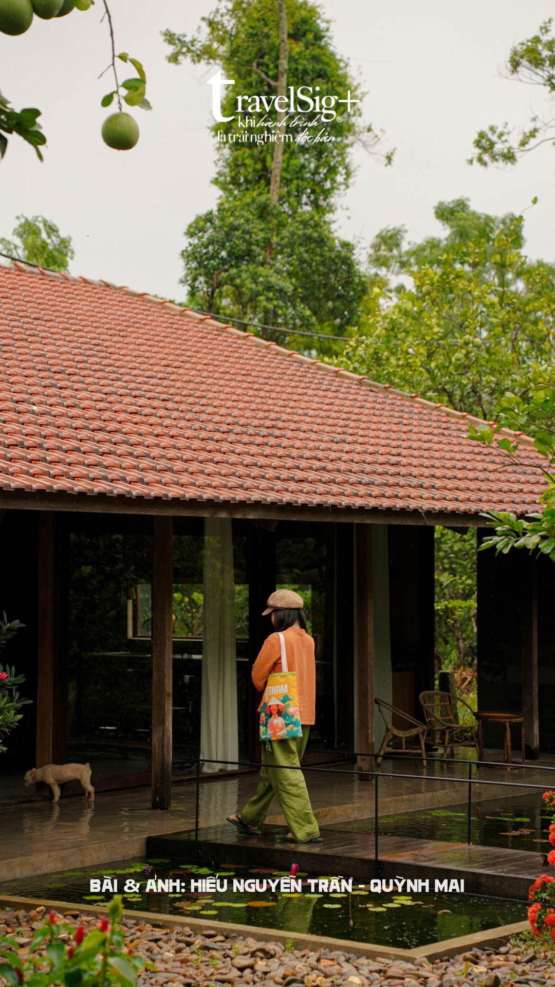 Hachi Homestay - Nơi Huế xưa thì thầm trong từng hương bưởi