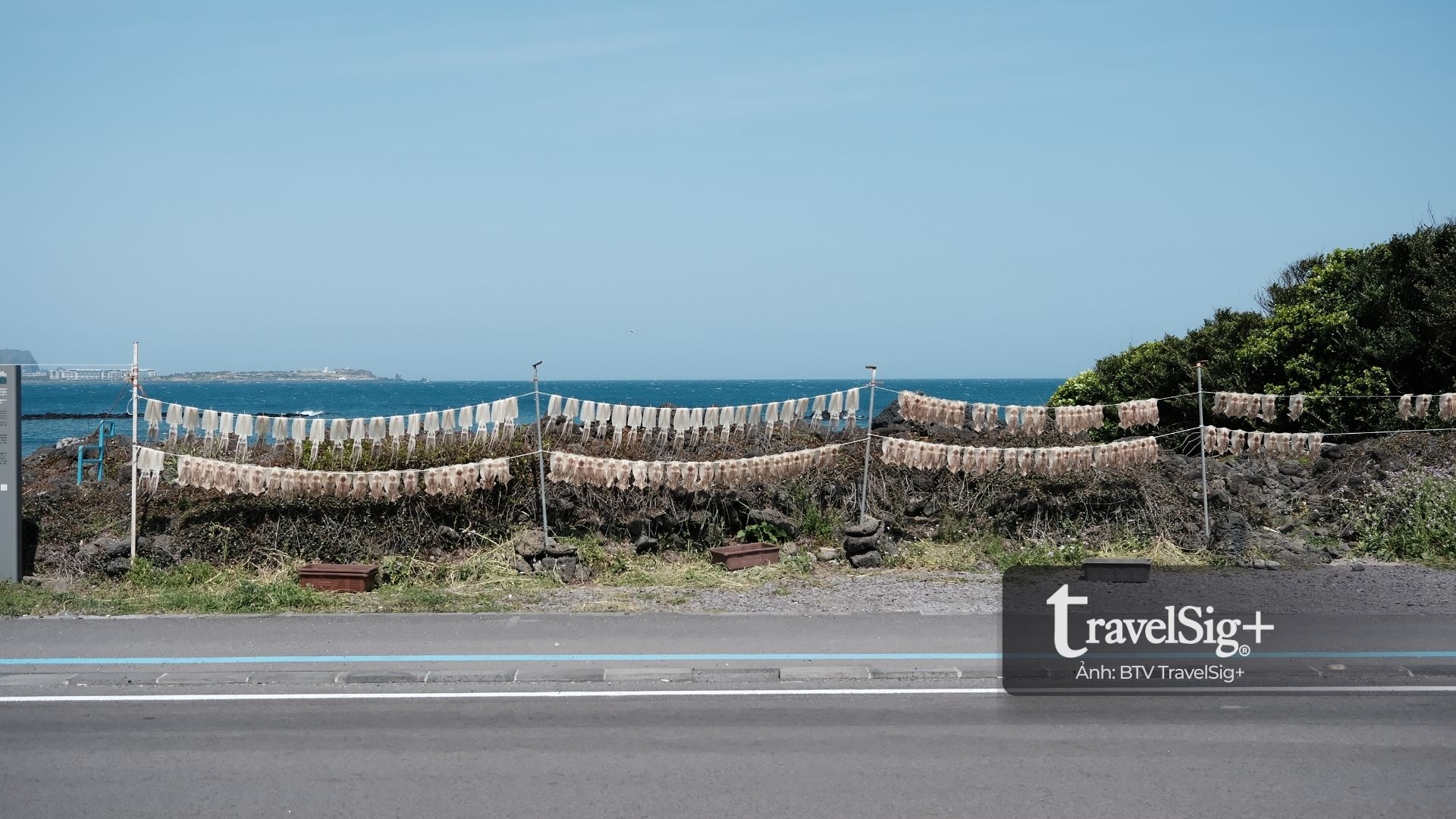 Hải nữ Jeju - Biểu tượng kiên cường giữa biển trời Hàn Quốc