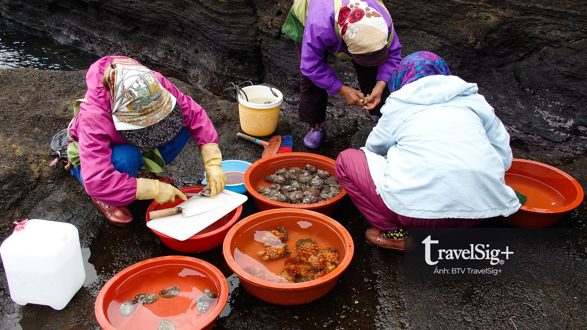 Hải nữ Jeju - Biểu tượng kiên cường giữa biển trời Hàn Quốc