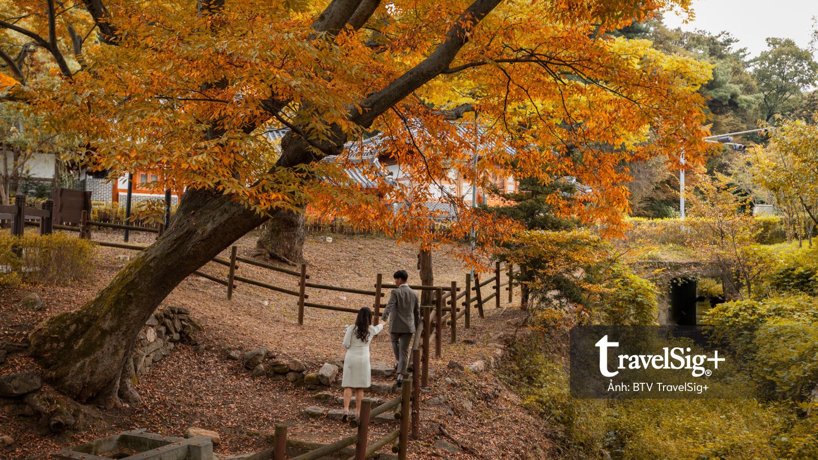 Hàn Quốc xem xét cấp visa 10 năm cho khách Việt: Cú hích mới cho du lịch hai nước