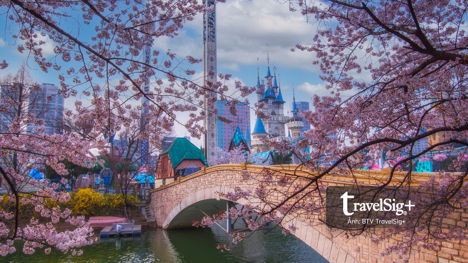 Hàn Quốc xem xét cấp visa 10 năm cho khách Việt: Cú hích mới cho du lịch hai nước