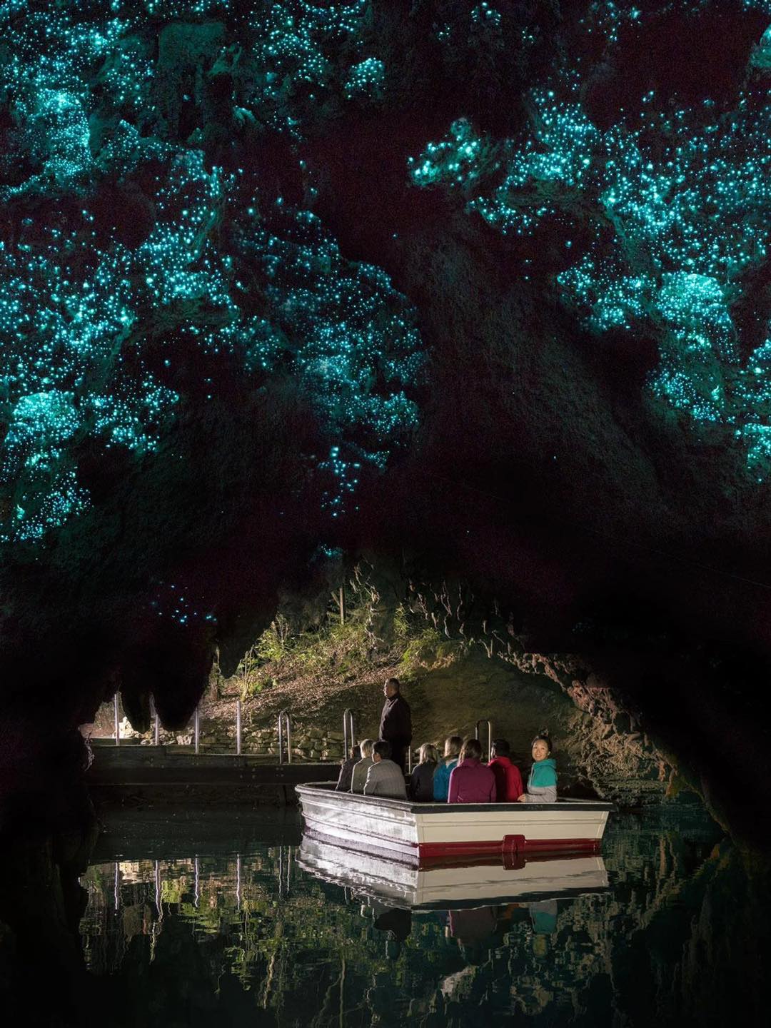 Hang động Waitomo Glowworm, ánh sáng huyền ảo của New Zealand