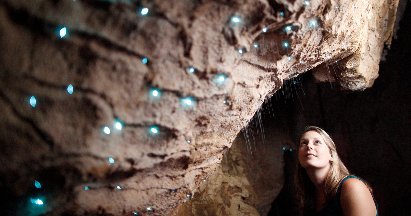 Hang động Waitomo Glowworm, ánh sáng huyền ảo của New Zealand