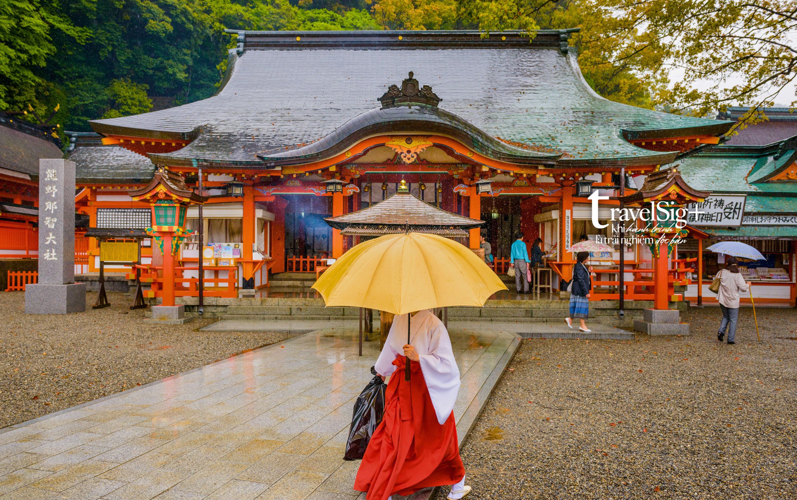 Hành hương Kumano Kodo: Hành trình tĩnh tâm và chữa lành qua những con đường rừng cổ kính