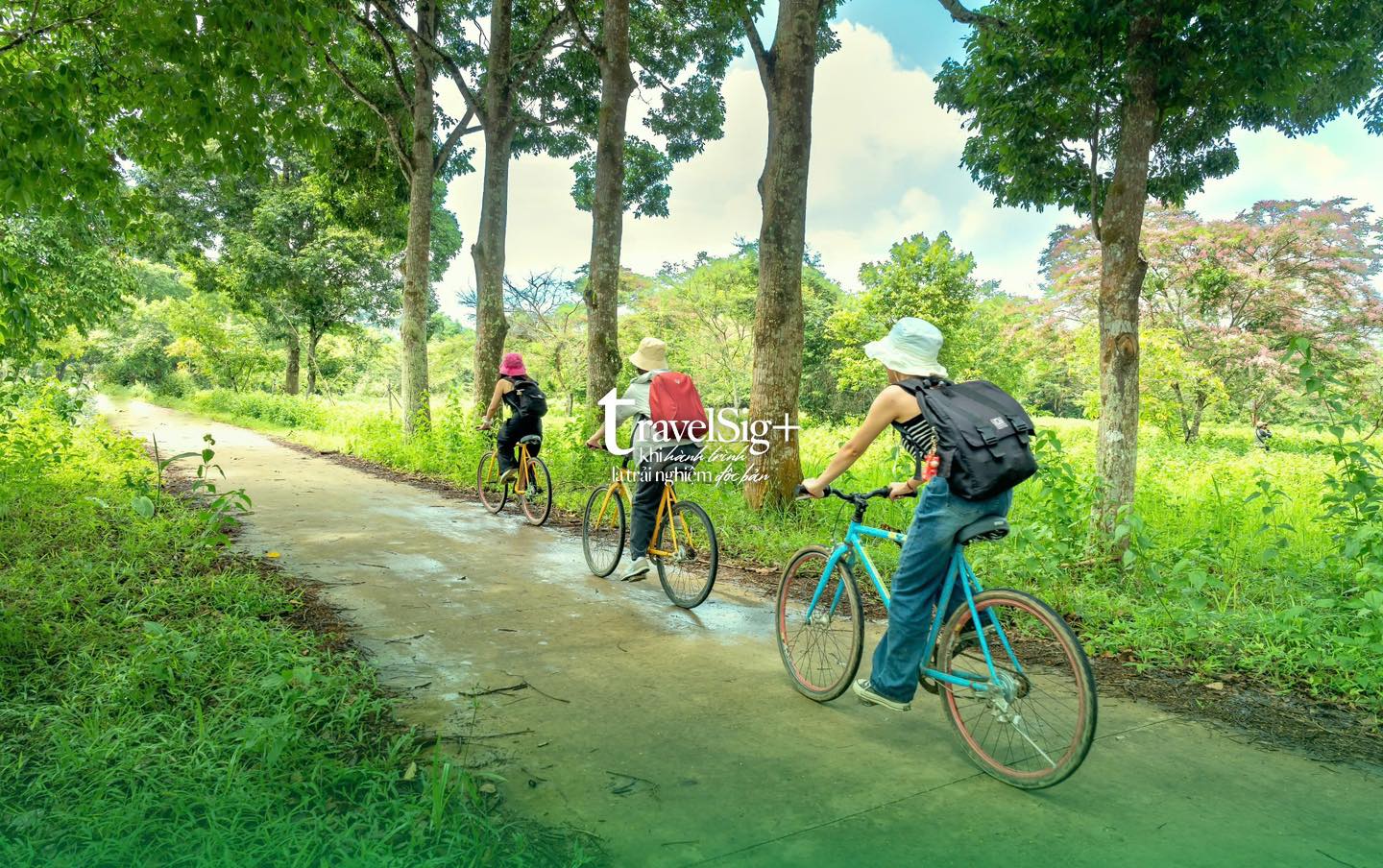 Hành trình đến Nam Cát Tiên, những bí mật từ khu rừng nguyên sinh gần Sài Gòn