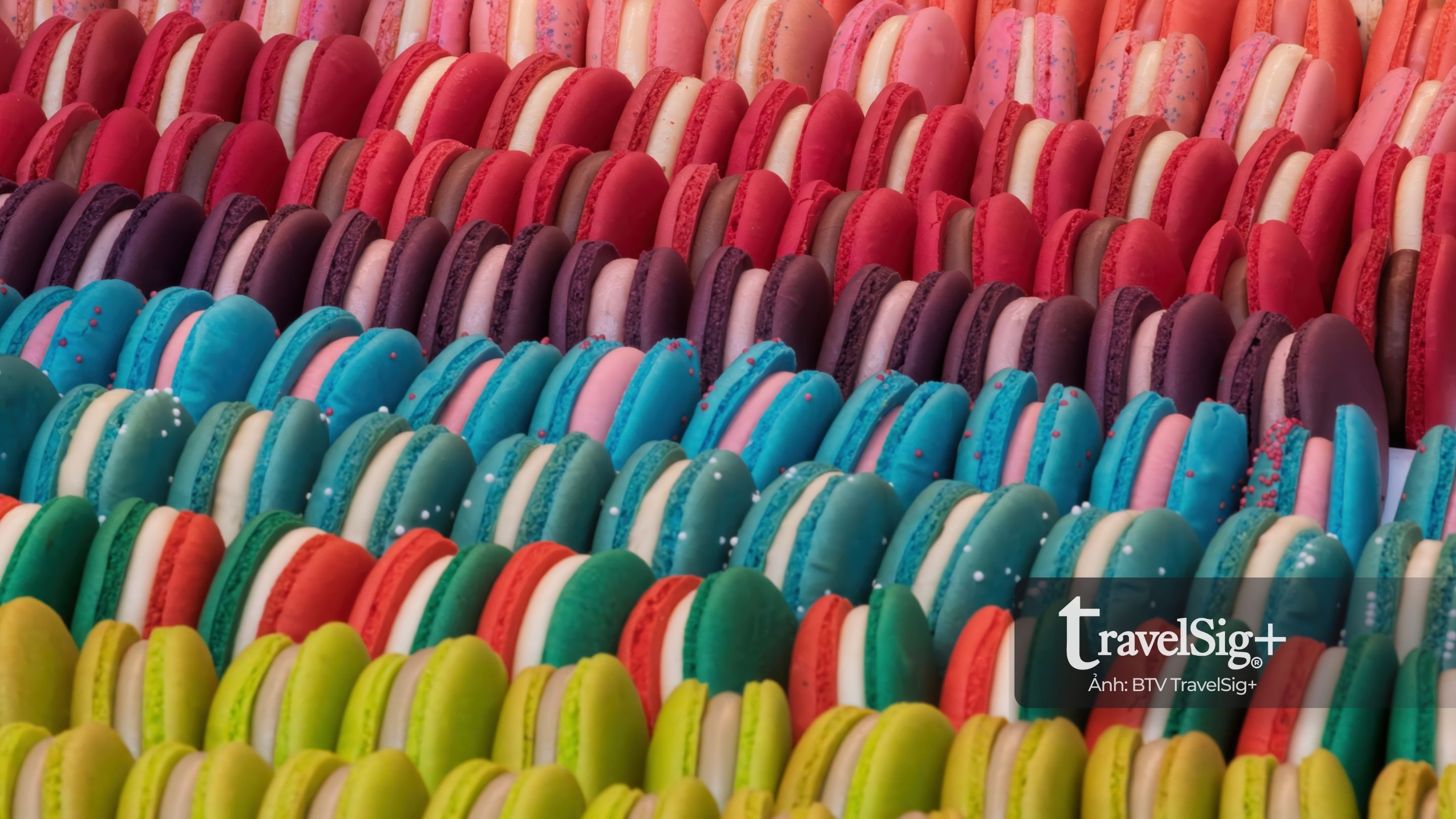 Hộ chiếu vị ngọt: 4 biểu tượng bánh ngọt đi qua 4 hành trình đô thị