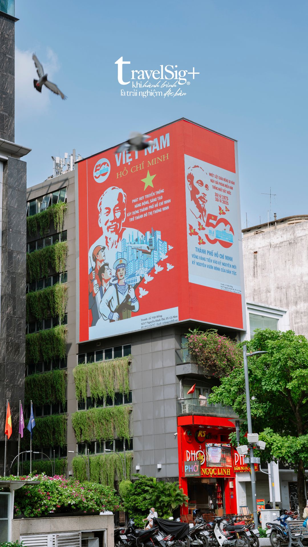 Hoà bình đẹp lắm - TP.HCM rực rỡ cờ hoa chào mừng 50 năm Ngày Giải phóng miền Nam, thống nhất đất nước