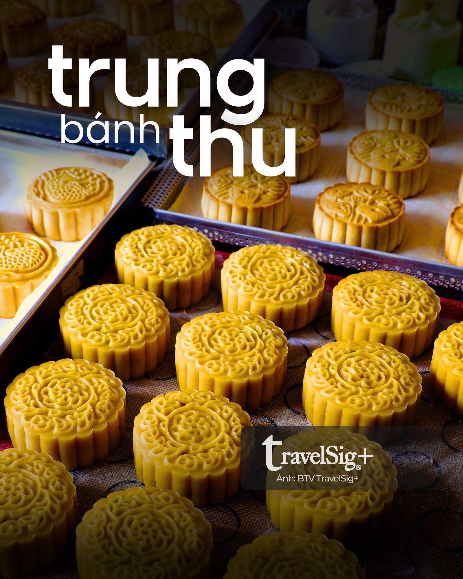 Hương vị bánh Trung thu thập cẩm - ký ức ngọt ngào của người Việt