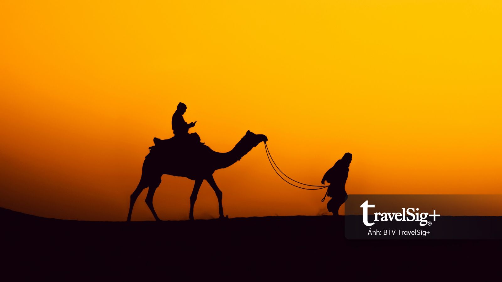 Jaisalmer – "Thành phố vàng" rực sáng giữa miền sa mạc Tây Bắc Ấn Độ