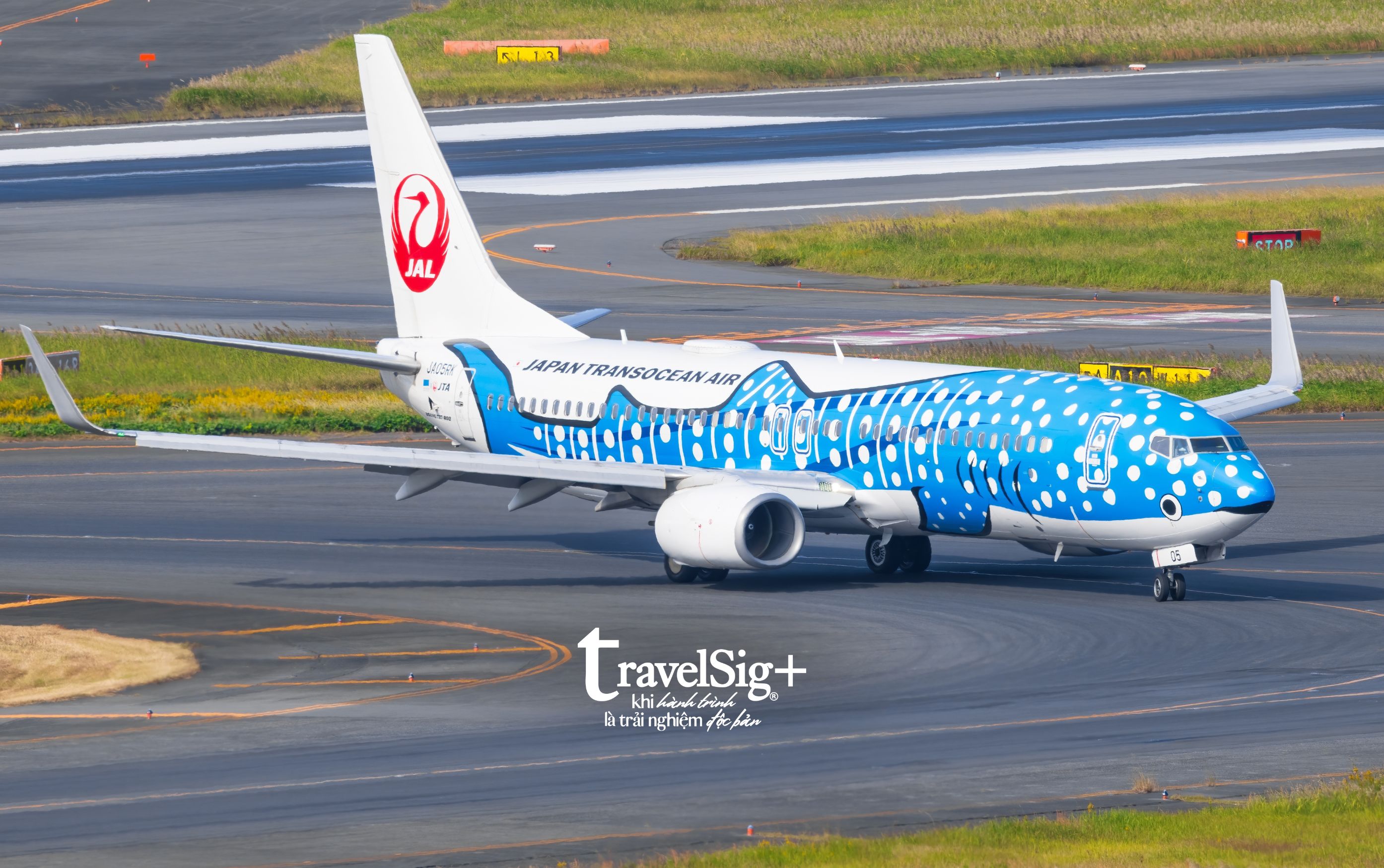 Japan Airlines Corporation chung tay khôi phục rạn san hô Okinawa