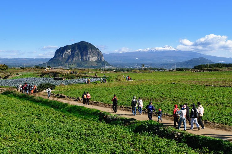 Jeju xem xét áp dụng thuế du lịch sinh thái, giải pháp bảo vệ tài nguyên trước làn sóng du khách