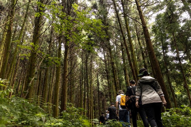 Jeju xem xét áp dụng thuế du lịch sinh thái, giải pháp bảo vệ tài nguyên trước làn sóng du khách