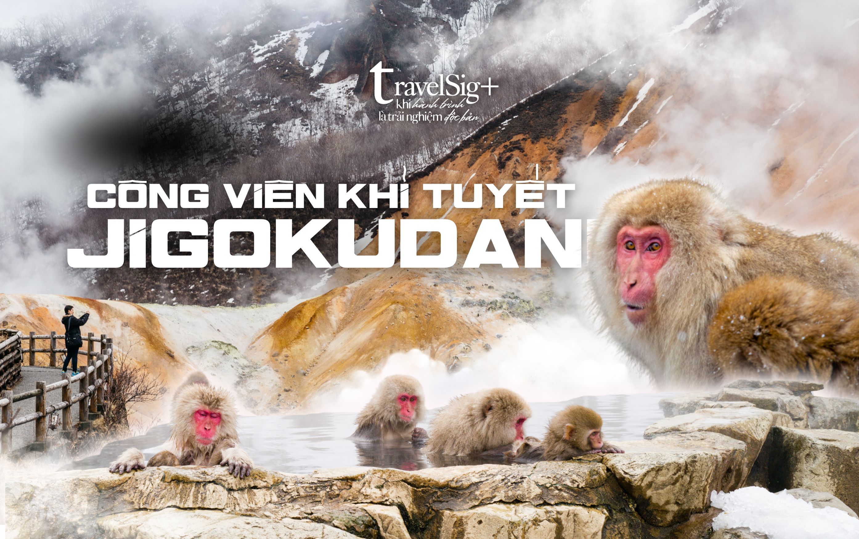 Jigokudani Snow Monkey Park, vũ điệu của thiên nhiên mùa đông