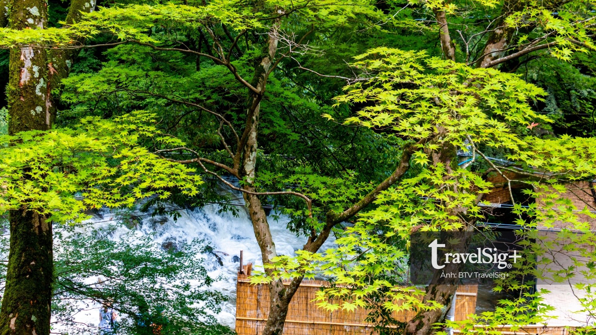 Kawadoko - Trải nghiệm mùa hè mát lành bên dòng suối ở Kyoto, Nhật Bản
