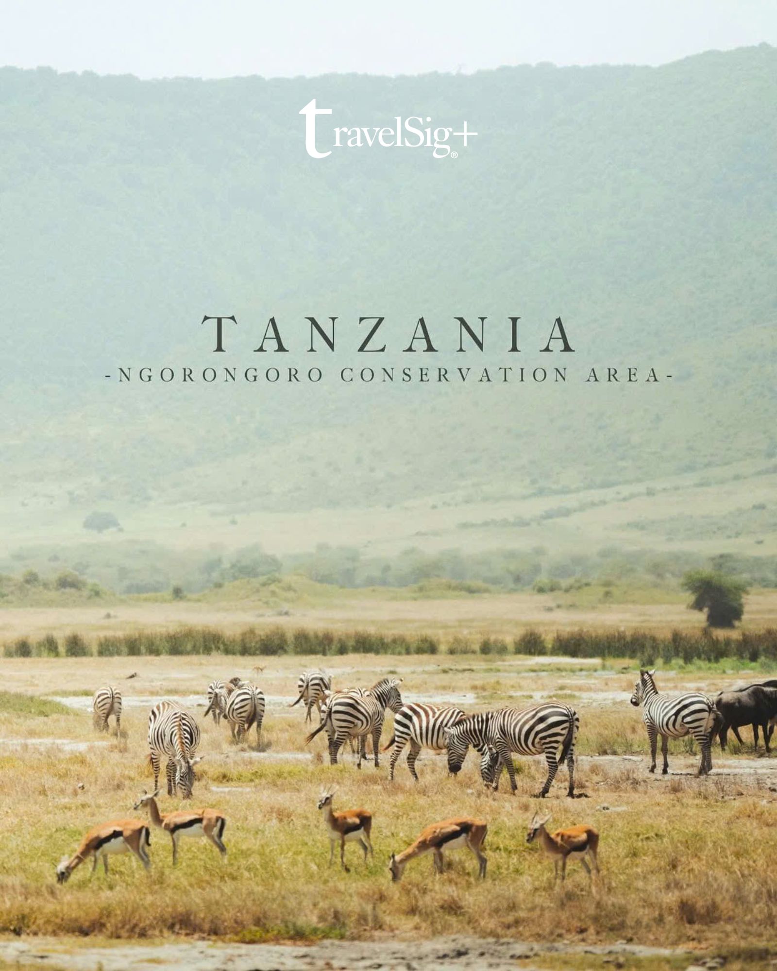 Kenya & Tanzania - Khi thiên nhiên hoang dã châu Phi kể những câu chuyện không lời