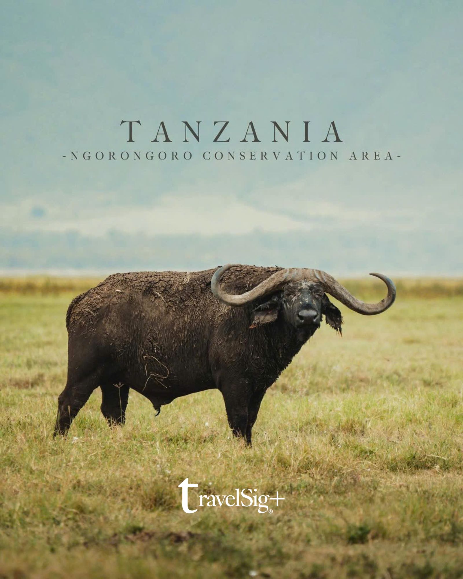 Kenya & Tanzania - Khi thiên nhiên hoang dã châu Phi kể những câu chuyện không lời