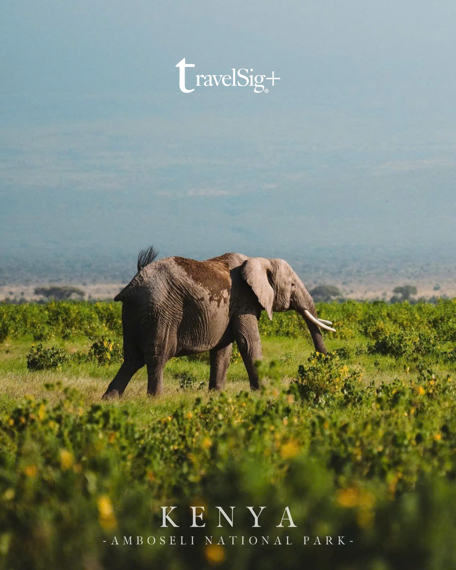 Kenya & Tanzania - Khi thiên nhiên hoang dã châu Phi kể những câu chuyện không lời