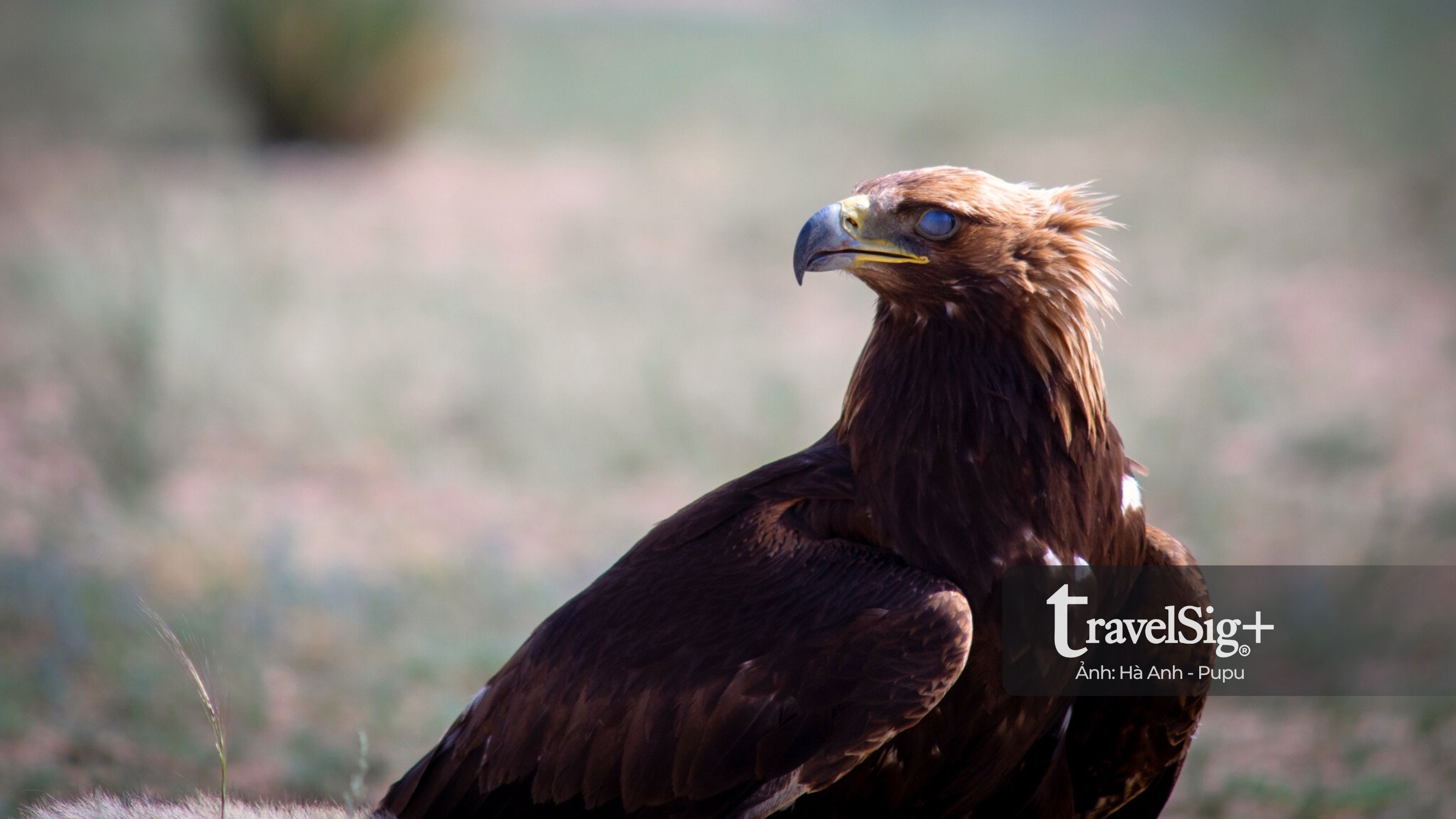 Khám phá Kyrgyzstan, hành trình tự lái xuyên Trung Á