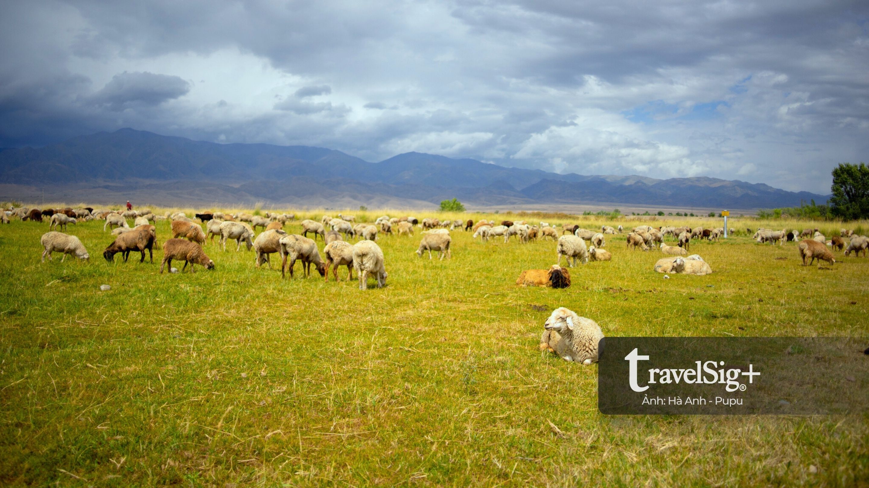 Khám phá Kyrgyzstan, hành trình tự lái xuyên Trung Á