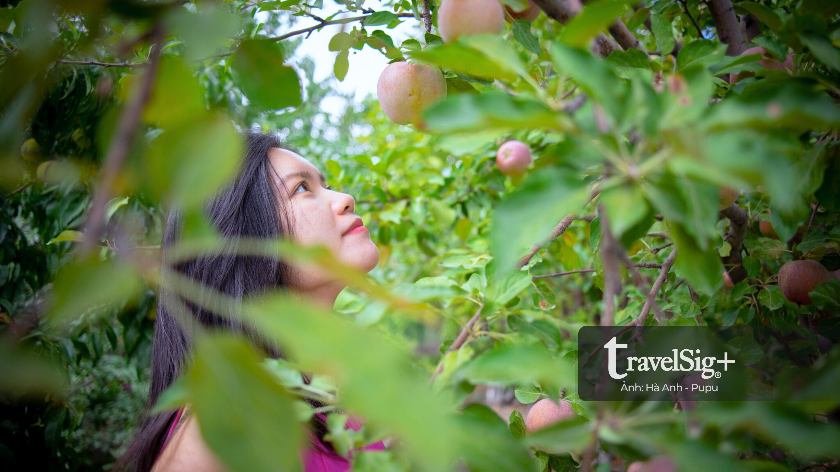 Khám phá Kyrgyzstan, hành trình tự lái xuyên Trung Á